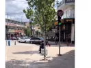 Viral: Έφτιαξαν πεζόδρομο αλλά ξέχασαν το... φανάρι (βίντεο)