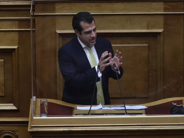 plevris_vouli