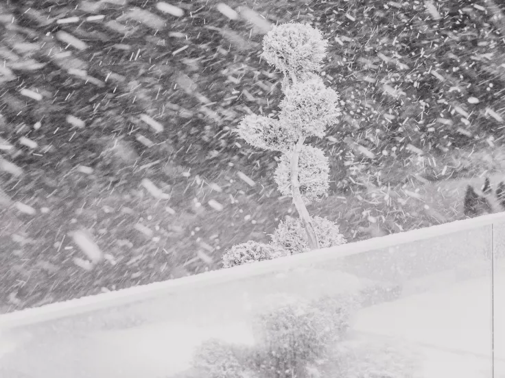 snow