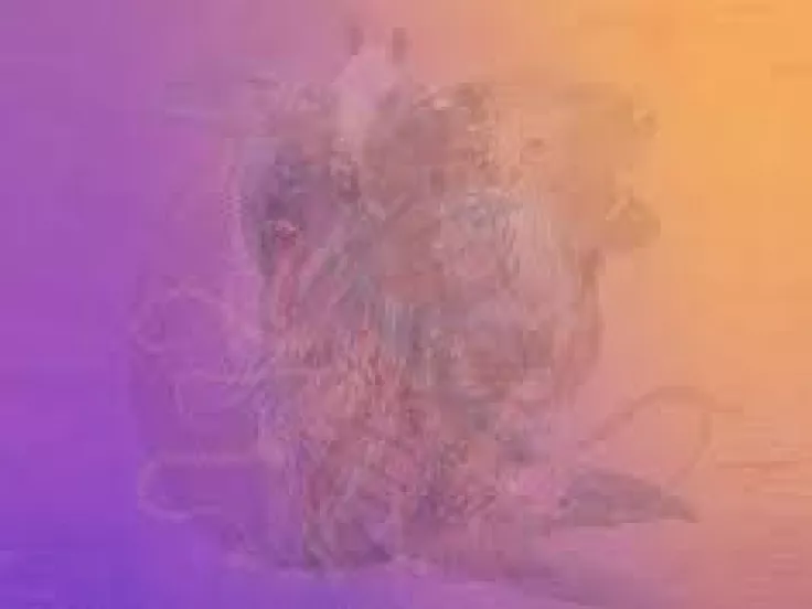 eikona
