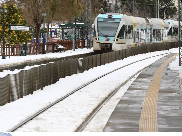 trainose