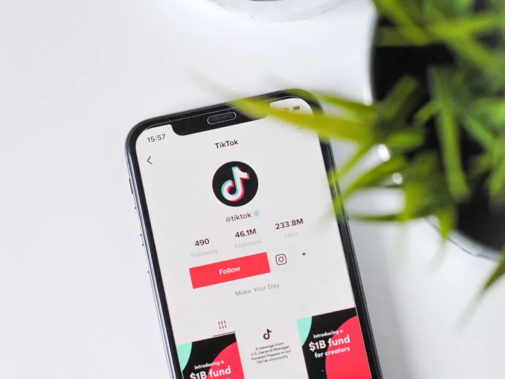 tiktok 