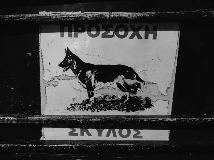 prosoxi_skylos