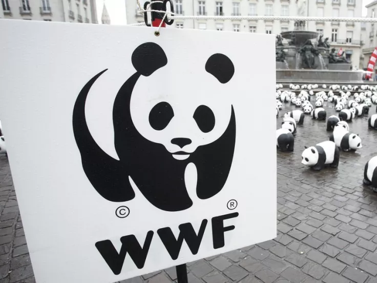 wwf