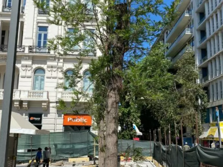 dentra_syntagma_lifo
