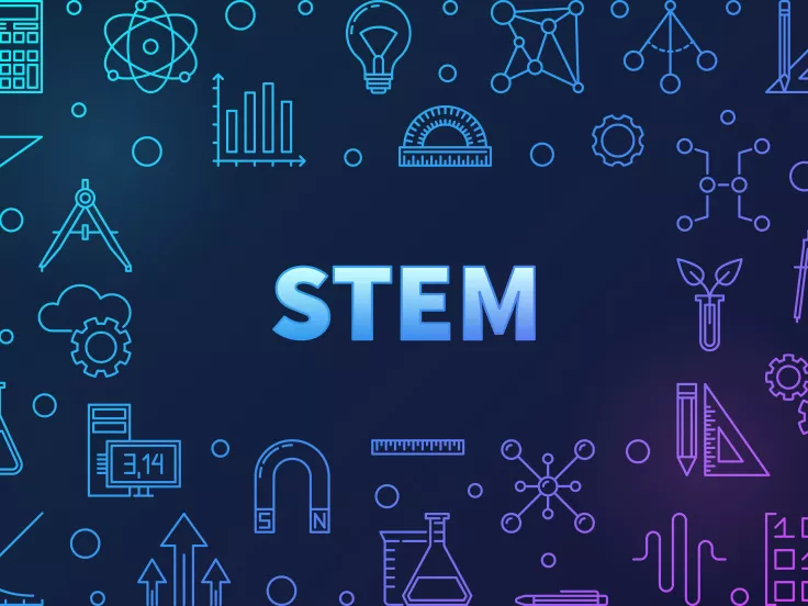 stem