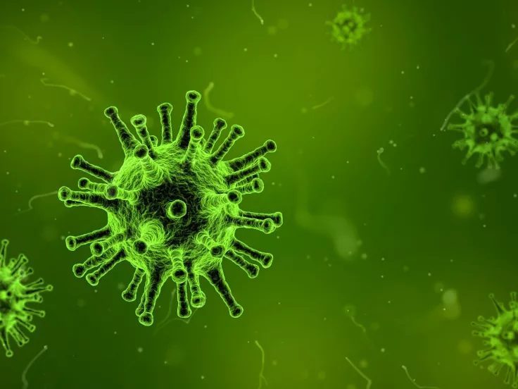 microbio