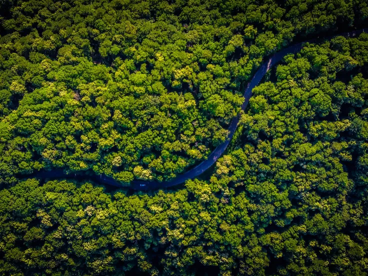 amazonios