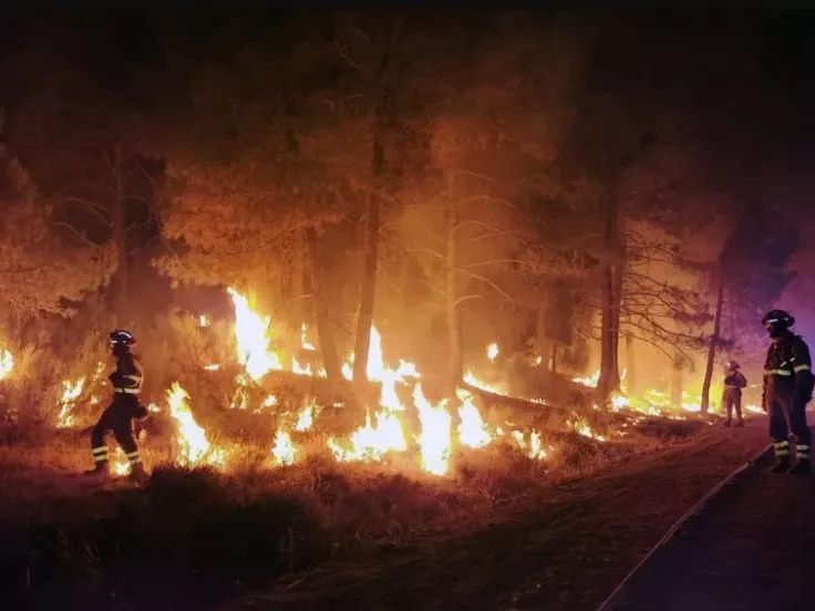 berlin_forest_fire