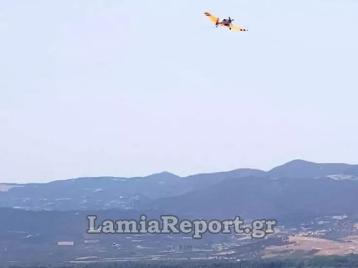 lamia report
