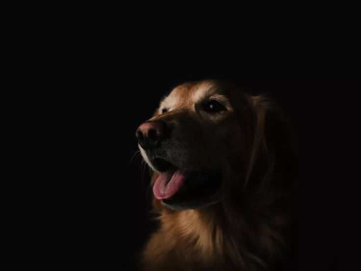 unsplash