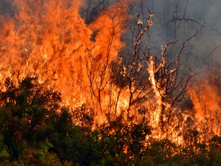  Πυρκαγιά ξέσπασε στην περιοχή Νέα Μαλεσιάδα Αιτωλοακαρνανίας