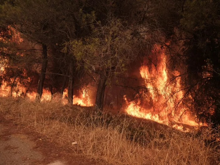 Φωτιά στον Κάλαμο Αττικής