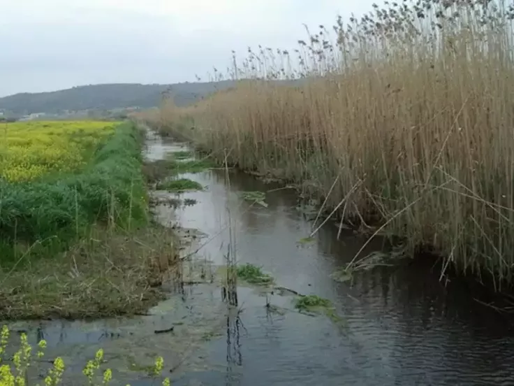 Ποτάμι