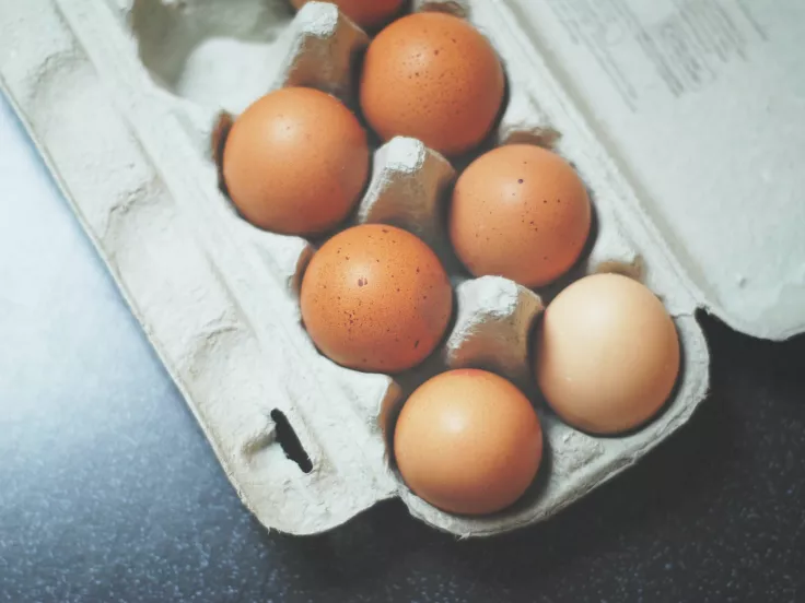 avgo-augo-auga-avga-eggs.jpg