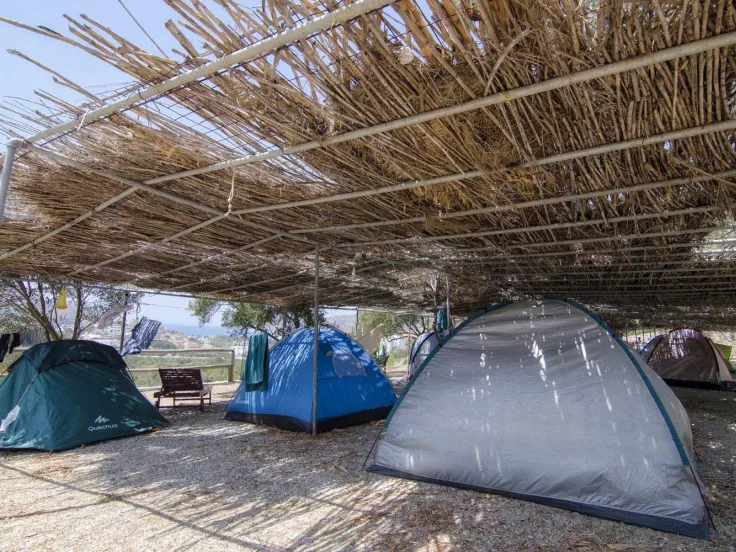 camping.jpg
