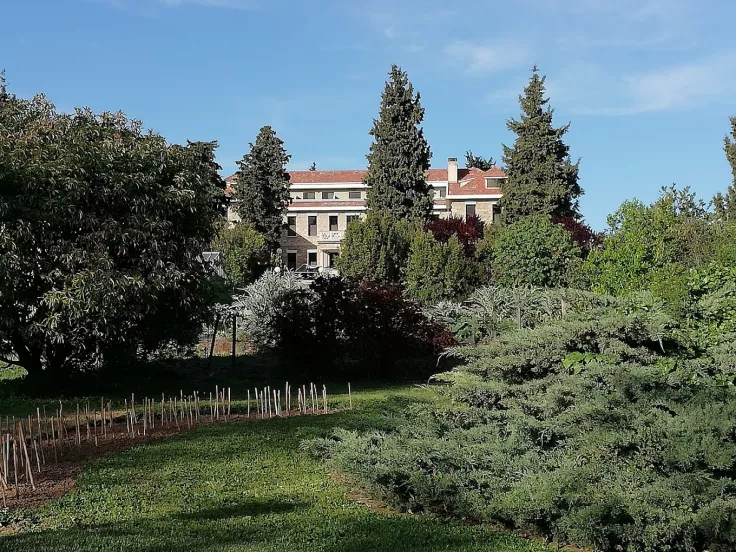 Αμερικανική Γεωργική Σχολή