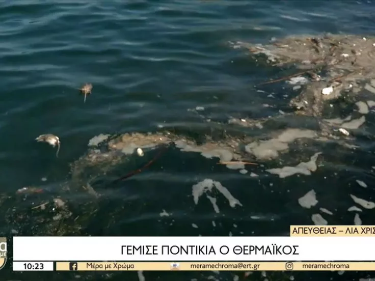 Θερμαϊκός