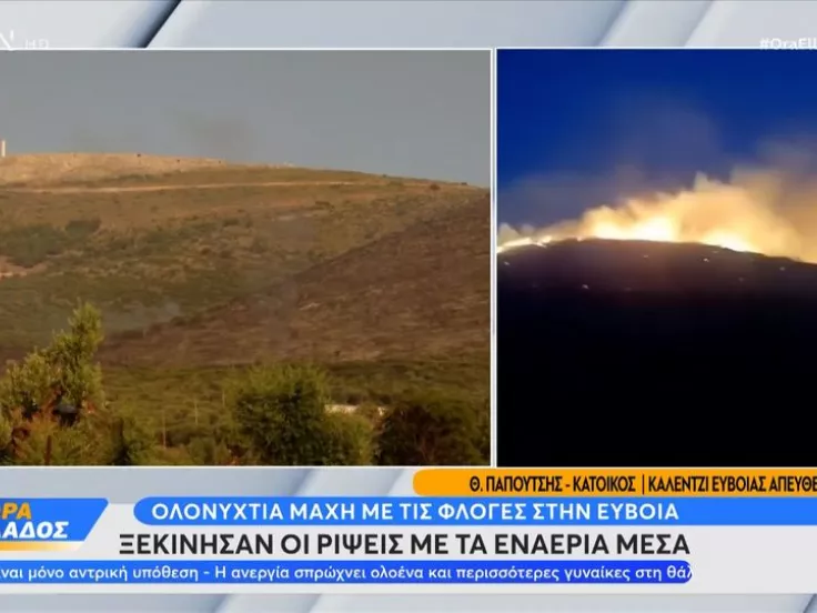 Φωτιά στην Εύβοια