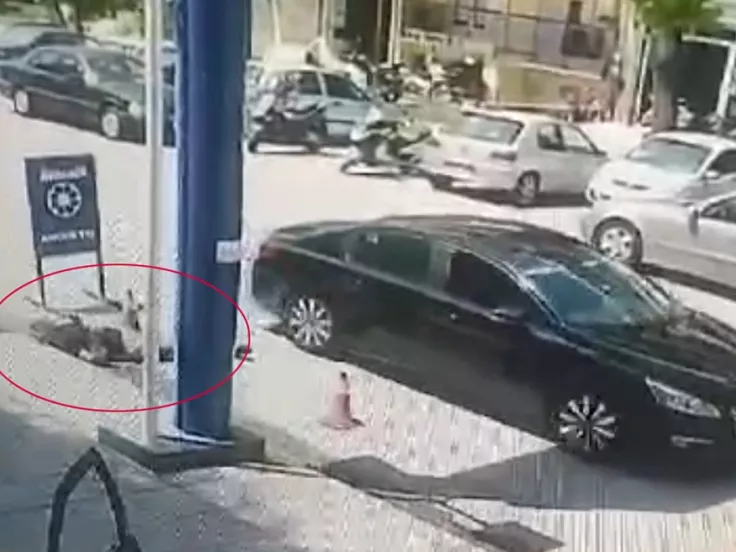 Θεσσαλονίκη: Η στιγμή που δολοφονείται ο 50χρονος μετά από καβγά - Δείτε βίντεο