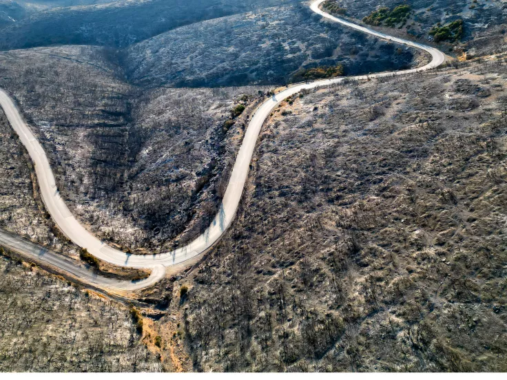 Συνεχίζεται για δωδέκατη ημέρα η πυρκαγιά στον Έβρο 