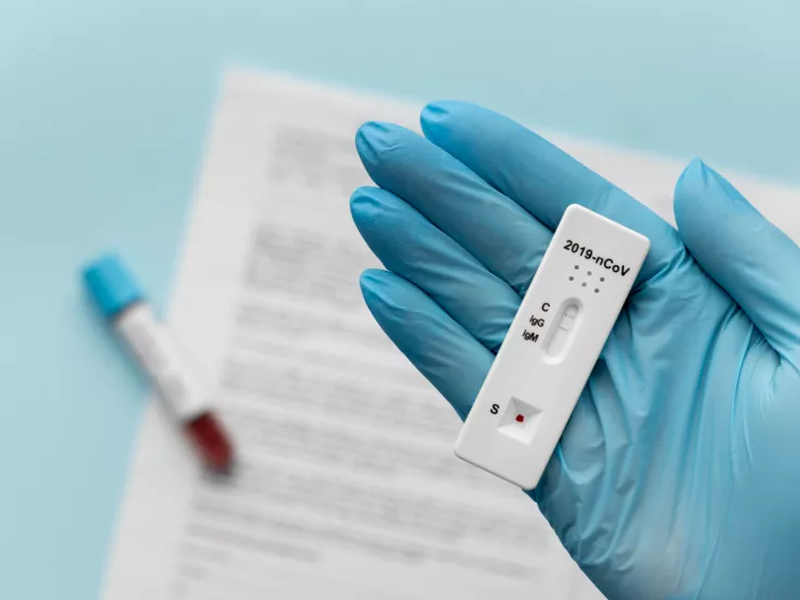rapid test