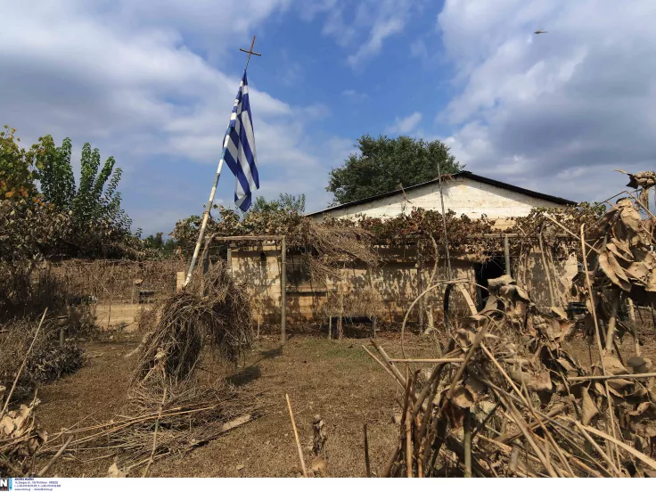 Κρούσματα γαστρεντερίτιδας στη Θεσσαλία