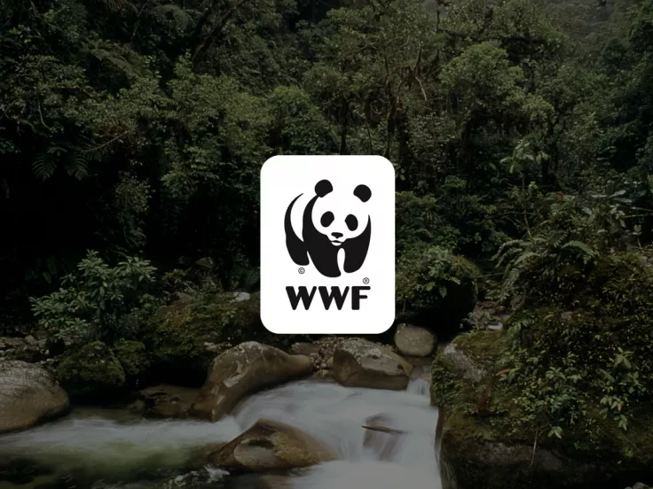 wwf-website.jpg