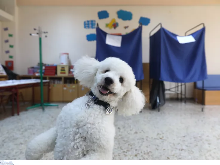Εκλογές