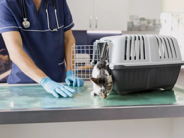 Veterinary Center