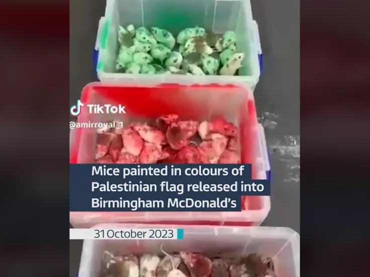 Ποντίκια στα McDonald's