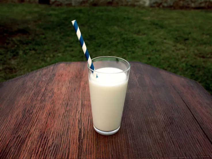 gala-milk.jpg
