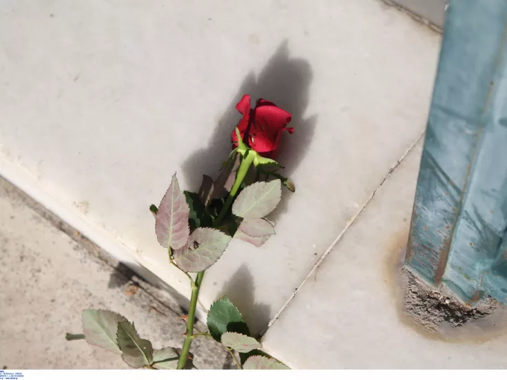 Νέα Σμύρνη: Απολογείται σήμερα ο 18χρονος αδελφοκτόνος -«Το έκανα για να αμυνθώ» υποστηρίζει