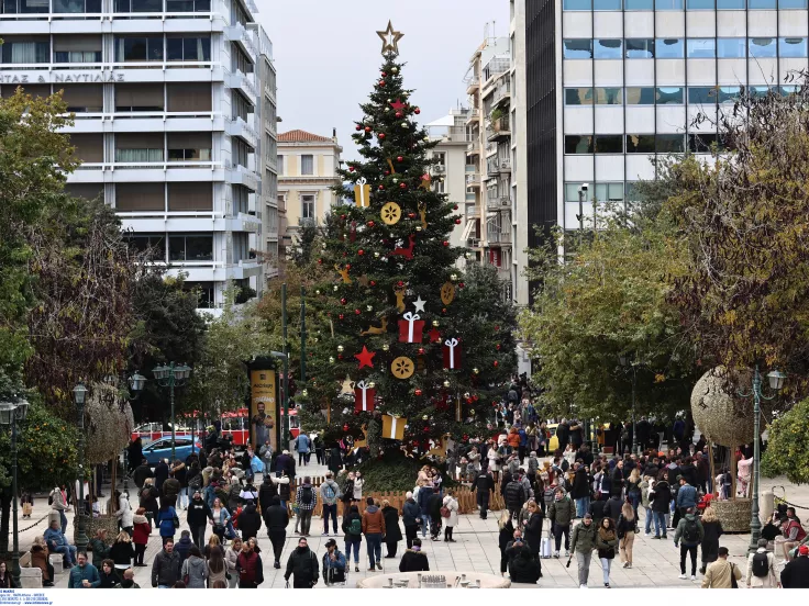 Χριστουγεννιάτικο δέντρο