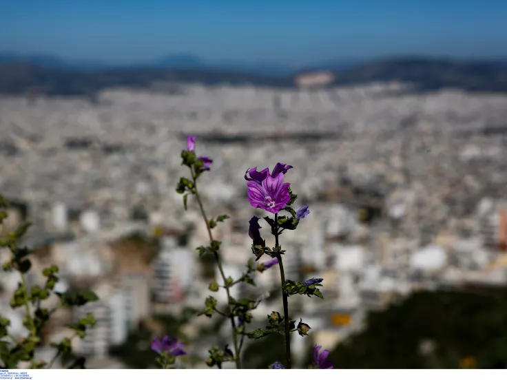 Καιρός: Παραμένει το καλοκαιρινό σκηνικό, αλλά με ισχυρούς βοριάδες