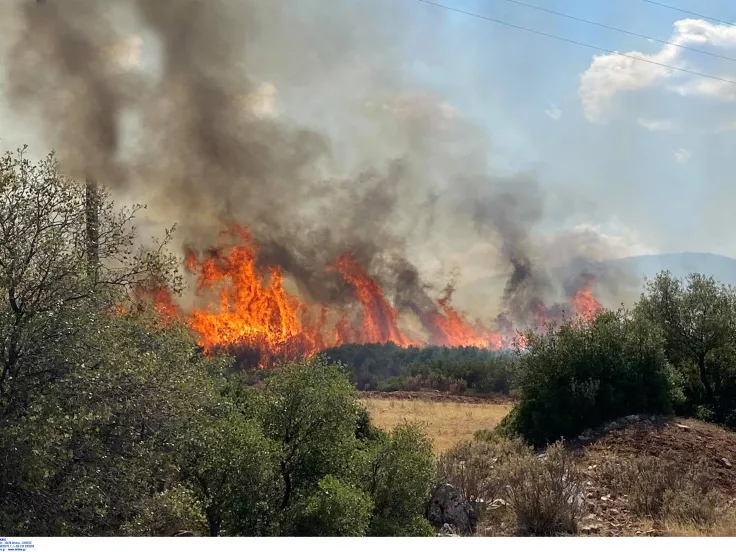 Φωτιά τώρα στους Κοκκινάδες Αργολίδας