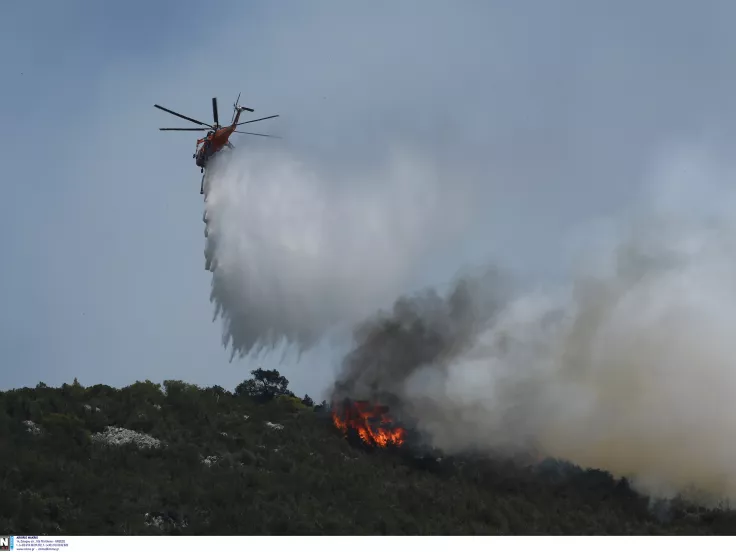 Φωτιά τώρα στη Σαλαμίνα: Ήχησε το 112