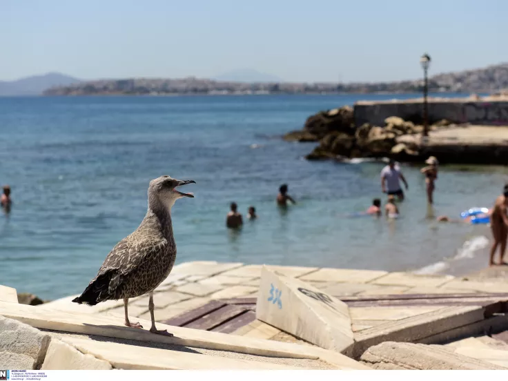 MyCoast: Στο 90% η ολοκλήρωση των ηλεκτρονικών δημοπρασιών των παραλιών 