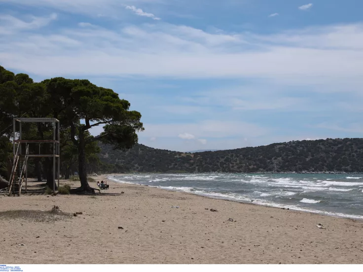 Σχοινιάς