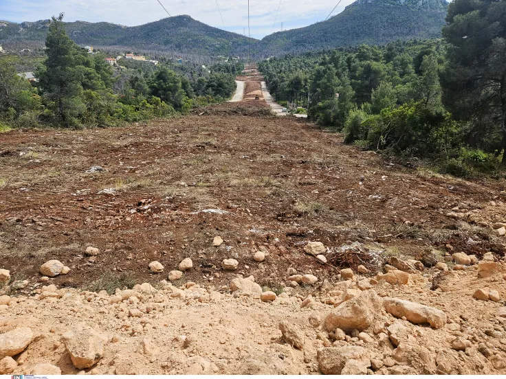 Ακαθάριστα οικόπεδα