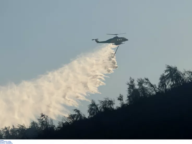 Φωτιά και πυροσβεστική