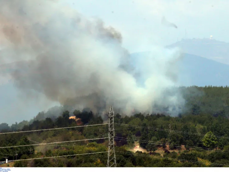 Πυρκαγιά τώρα στο Δήλεσι Βοιωτίας