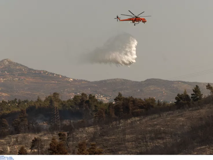 Φωτιά τώρα στις Ερυθρές Αττικής: Επιχειρούν και εναέρια μέσα
