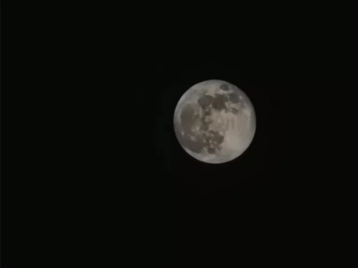 Φεγγάρι του Ελαφιού