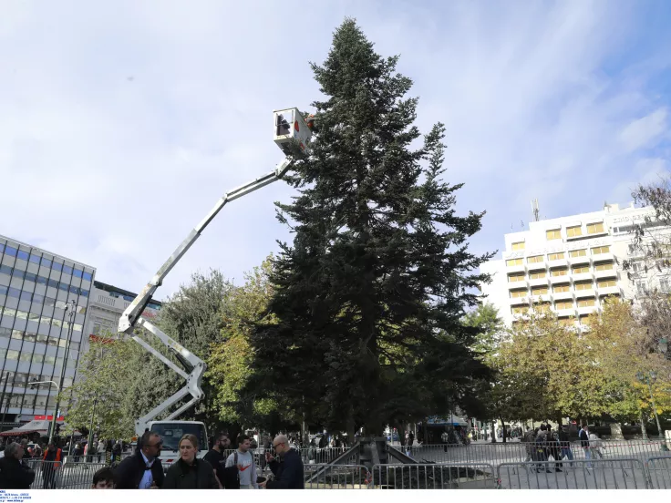 Στήθηκε στο Σύνταγμα χριστουγεννιάτικο δέντρο 20 μέτρων