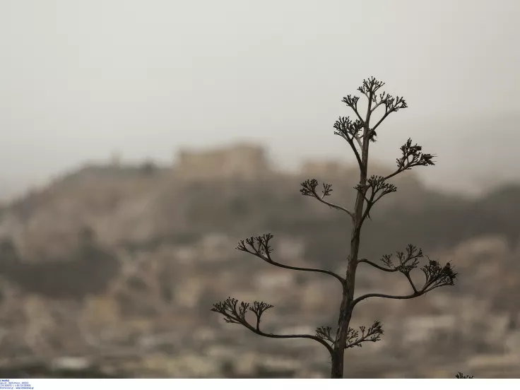 Καιρός: Με ζέστη, βροχές και αφρικανική σκόνη η Μεγάλη Εβδομάδα
