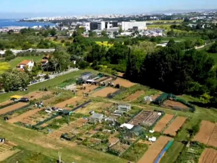 Θεσσαλονίκη: Πώς θα αποκτήσετε λαχανόκηπους στο ΑΠΘ