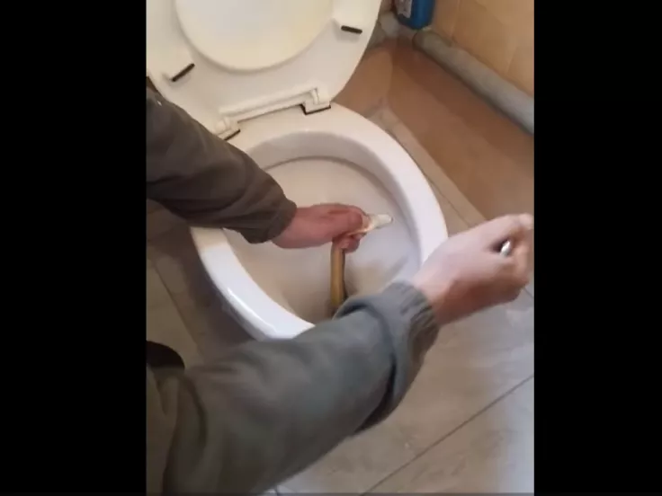 Φίδι στην Καστοριά