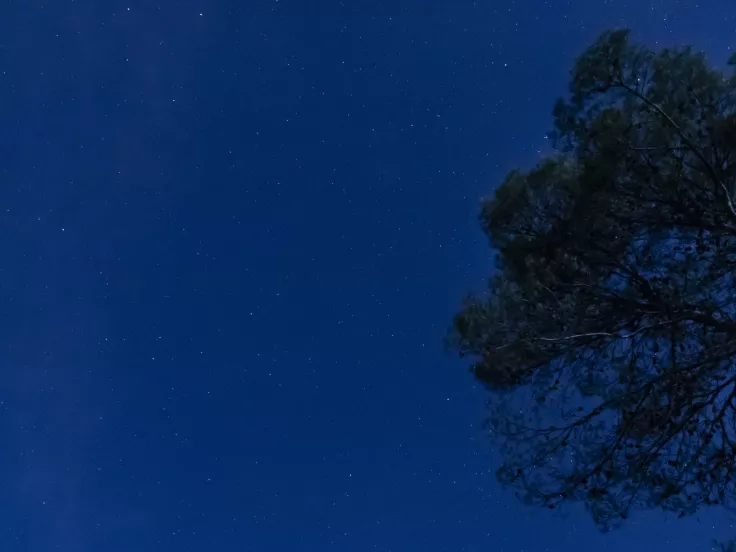 Τι σημαίνει η λέξη «στίλβη»