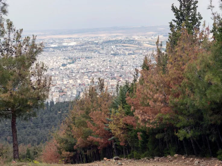 Θεσσαλονίκη: Προσλήψεις χωρίς πτυχίο στις Συκιές